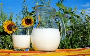 Фермери от Пловдивско даряват 6000 тона мляко