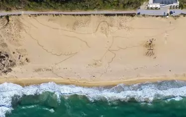 Най-голямата пясъчна рисунка в света се появи край Камчия