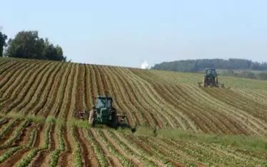 Паднаха всички ограничения за граждани на ЕС да купуват земя в България