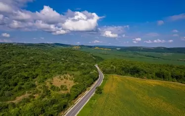 След 4-годишен отпор хората в Павликени победиха Вълка