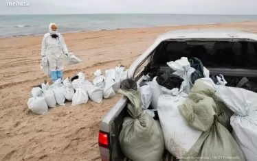 Разливът на мазут в Черно море достигна Крим