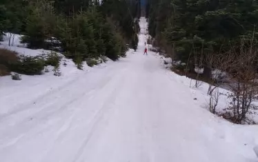 От 11 януари - на ски и под връх Ком