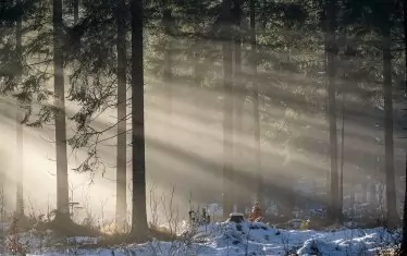 Седмичен хороскоп