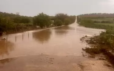 Обилен дъжд наводни Силистренско