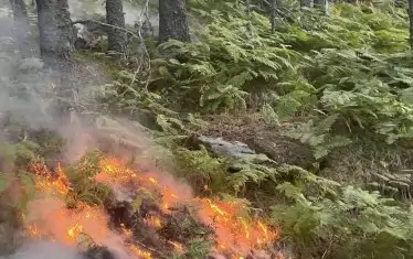 Разраства се пожарът над община Сливница