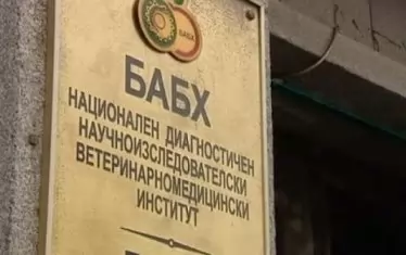 Агенциите за инвестициите и за храните са с нови шефове