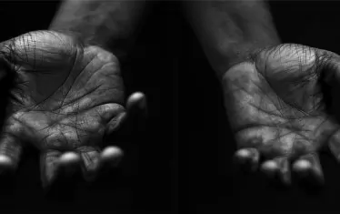 В парламента шум се вдига - лъскат ножки, мечове