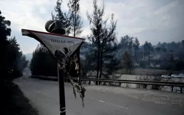 Гърция въведе пълна забрана за достъп в горите на Халкидики