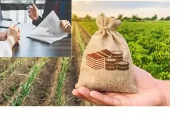 Агрочиновници бавят с години плащането на ренти за ниви