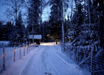 Седмичен хороскоп 