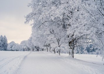 Хороскоп за петък