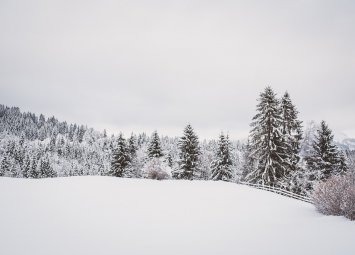 Хороскоп за четвъртък 