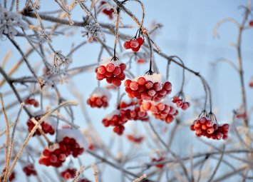 Седмичен хороскоп