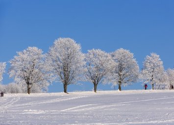 Хороскоп за петък 